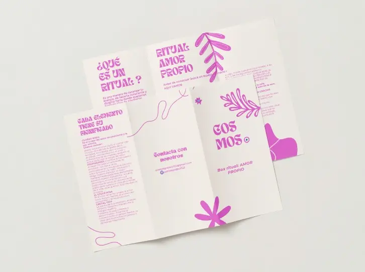 WhatsApp Image 2025-01-19 at 20.56.35.webp